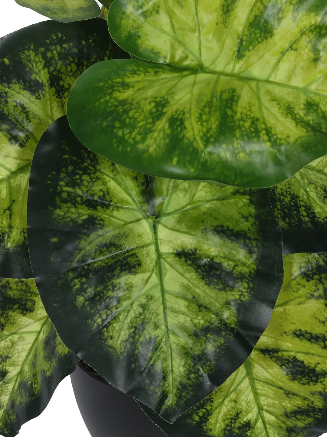 Artificial Dieffenbachia Leaf Plants for with Pot (12 Leaves, 55 cm Tall, Green/Yellow)