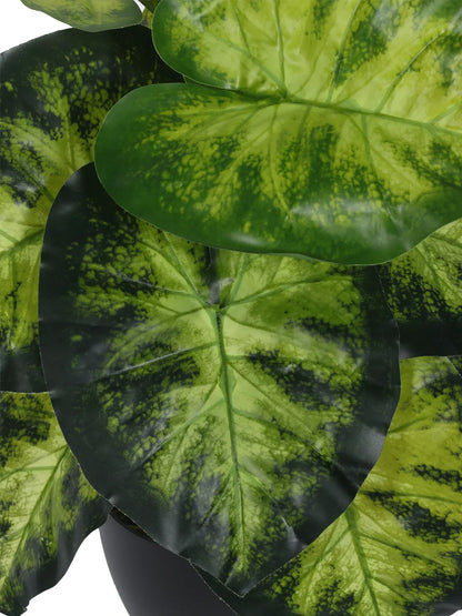 Artificial Dieffenbachia Leaf Plants for with Pot (12 Leaves, 55 cm Tall, Green/Yellow)
