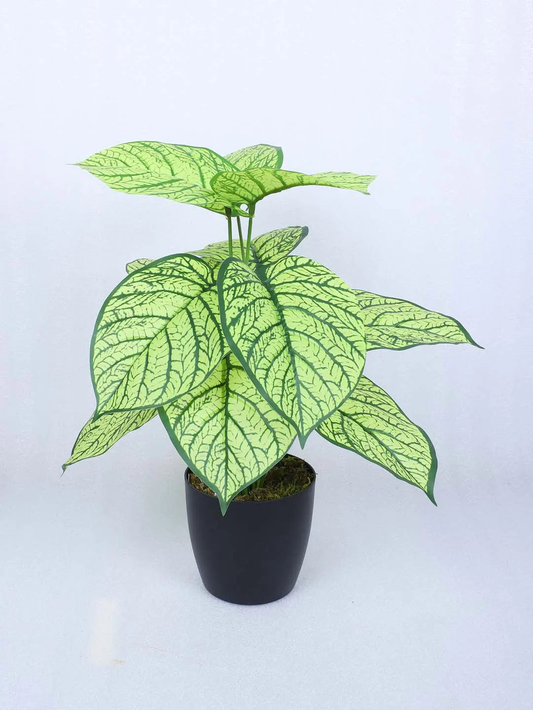 Artificial Miniature PVC Silk Caladium Leaf Floor Plant with Pot (12 Leaves, 55 cm Tall, Yellow)