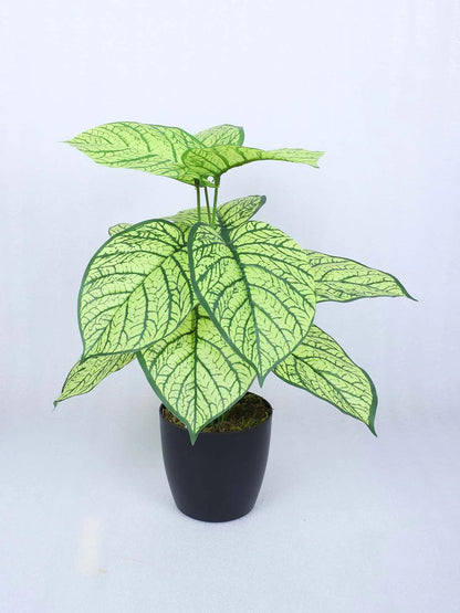 Artificial Miniature PVC Silk Caladium Leaf Floor Plant with Pot (12 Leaves, 55 cm Tall, Yellow)