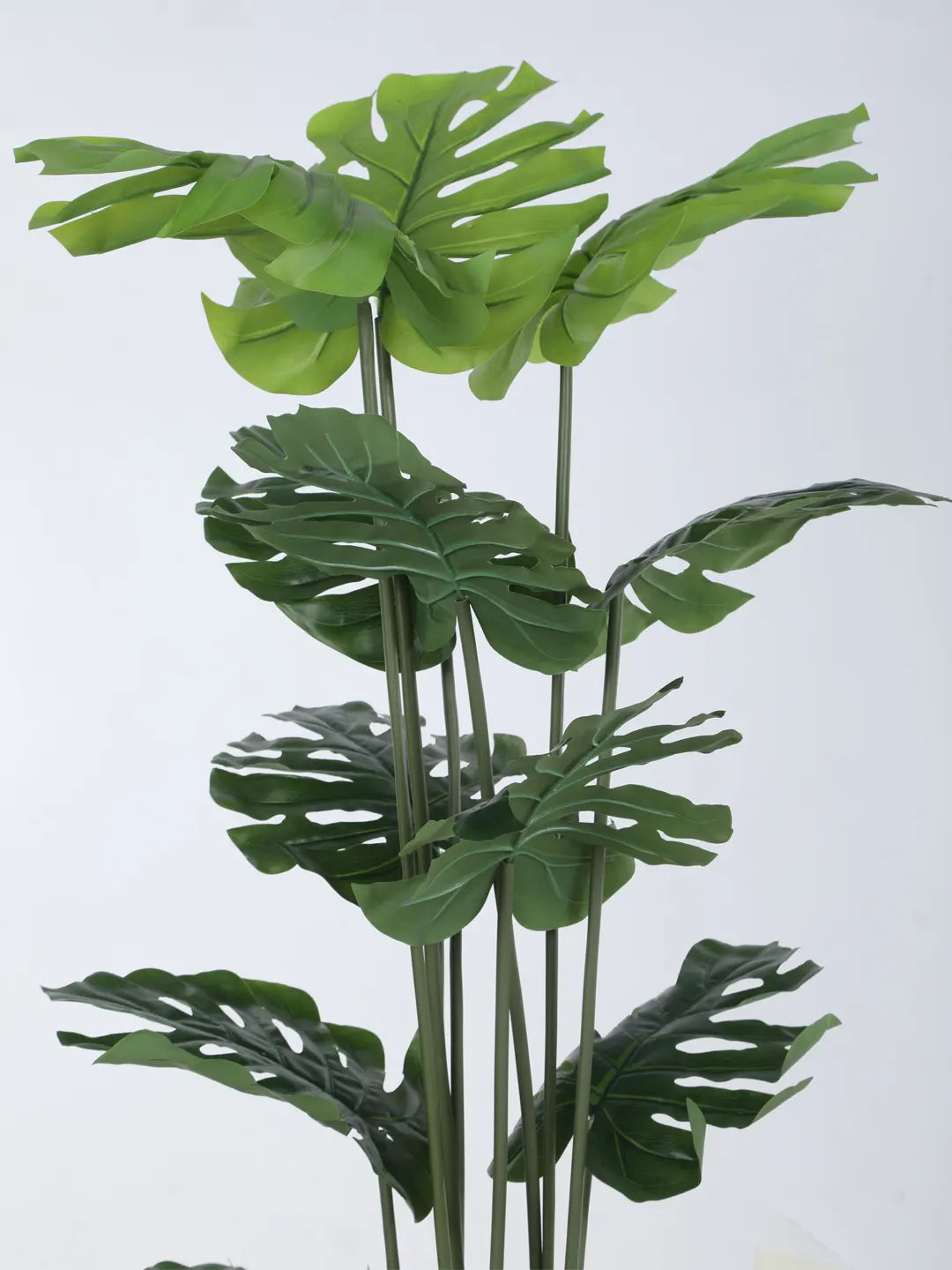 Artificial Lush Monstera Plant with Basic Black Pot - 180 cm Tall Green