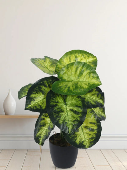 Artificial Dieffenbachia Leaf Plants for with Pot (12 Leaves, 55 cm Tall, Green/Yellow)
