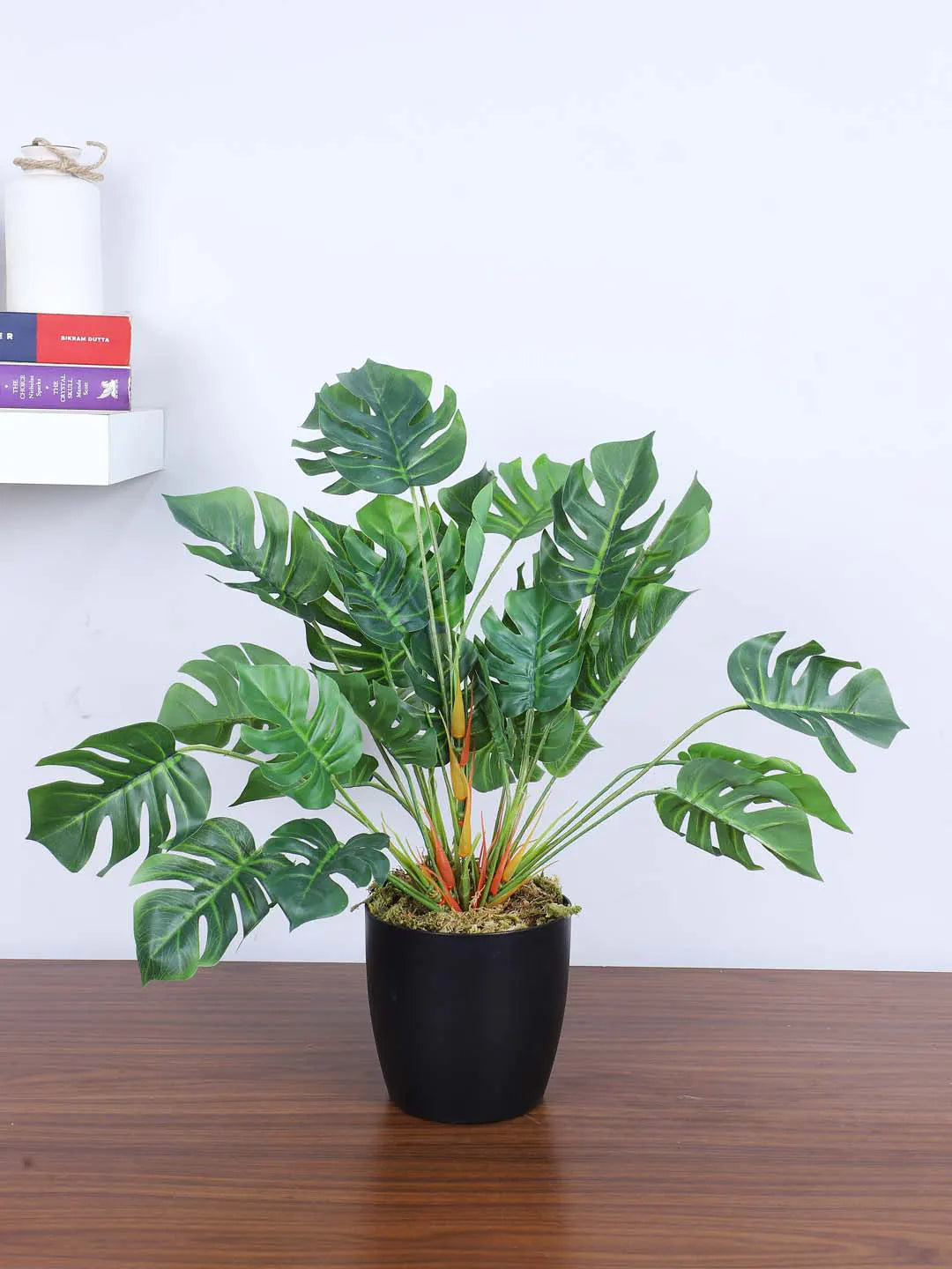 Artificial Miniature PVC Silk Monstera Leaf Green Floor Plant with Big Leaves with Pot (55 cm Tall, Green)