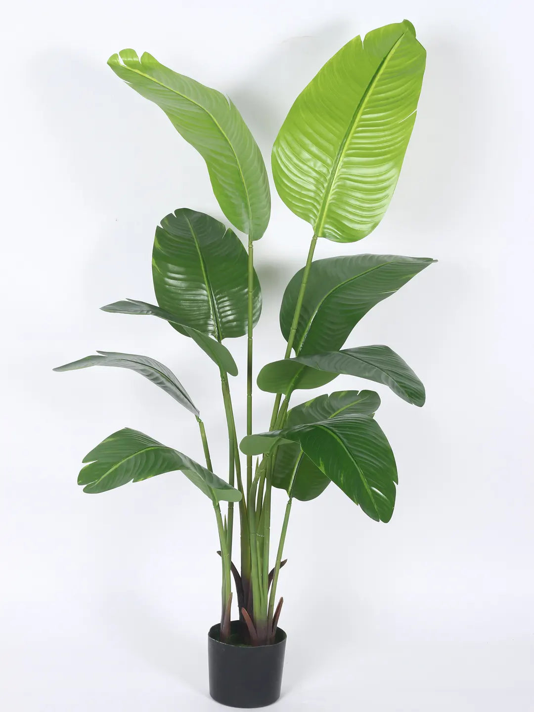 Artificial Cavendish Traveller Plant with Basic Black Pot - 5 Feet