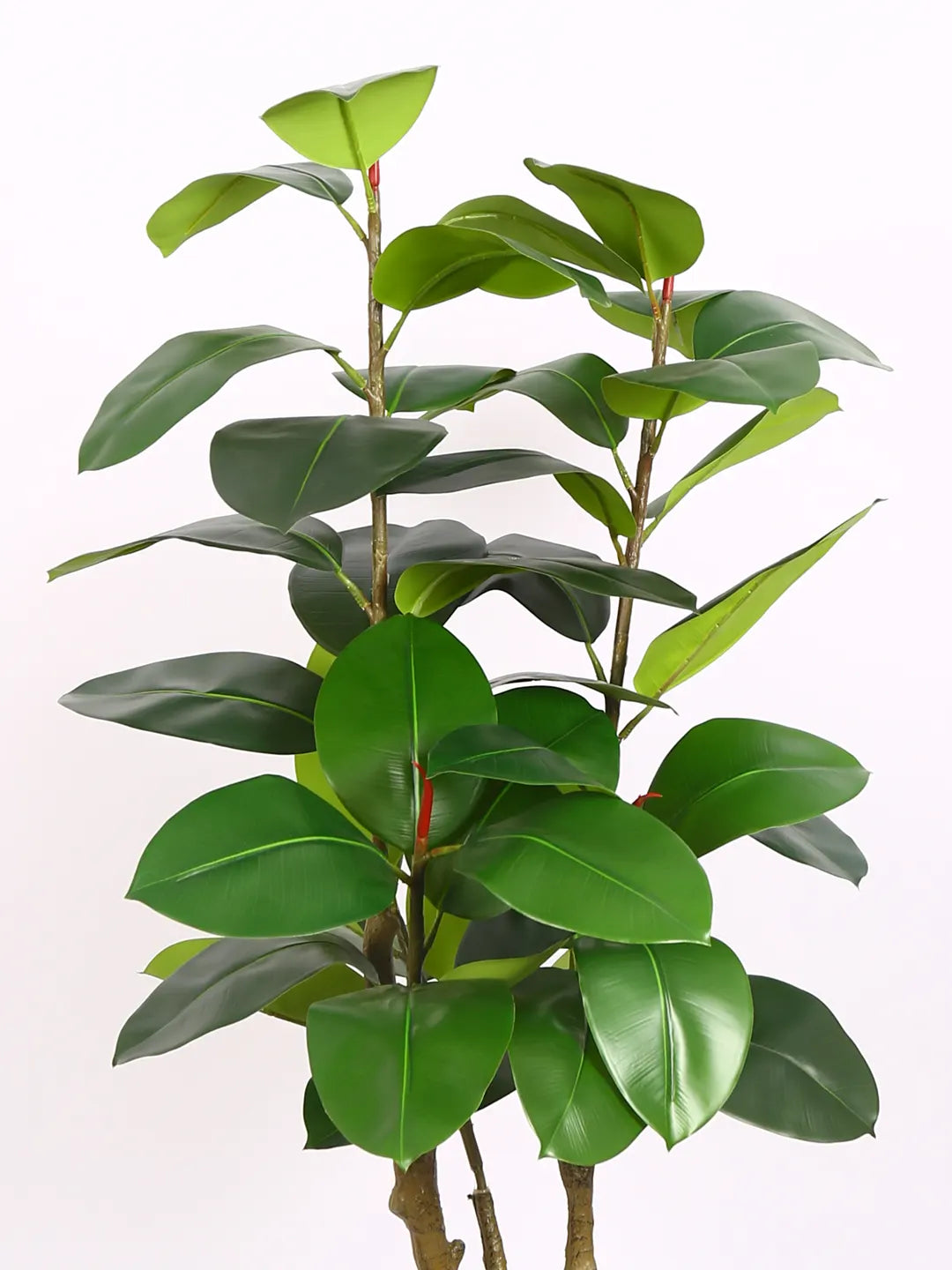 Artificial Leafy Rubber Plant with Basic Black Pot - 5 feet Green