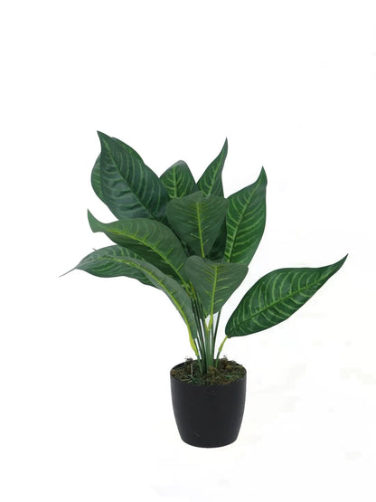 Artificial Green Iceton Croton Plant (12 Leaves with Basic Black Pot 45 Cm Tall Pack of 2)
