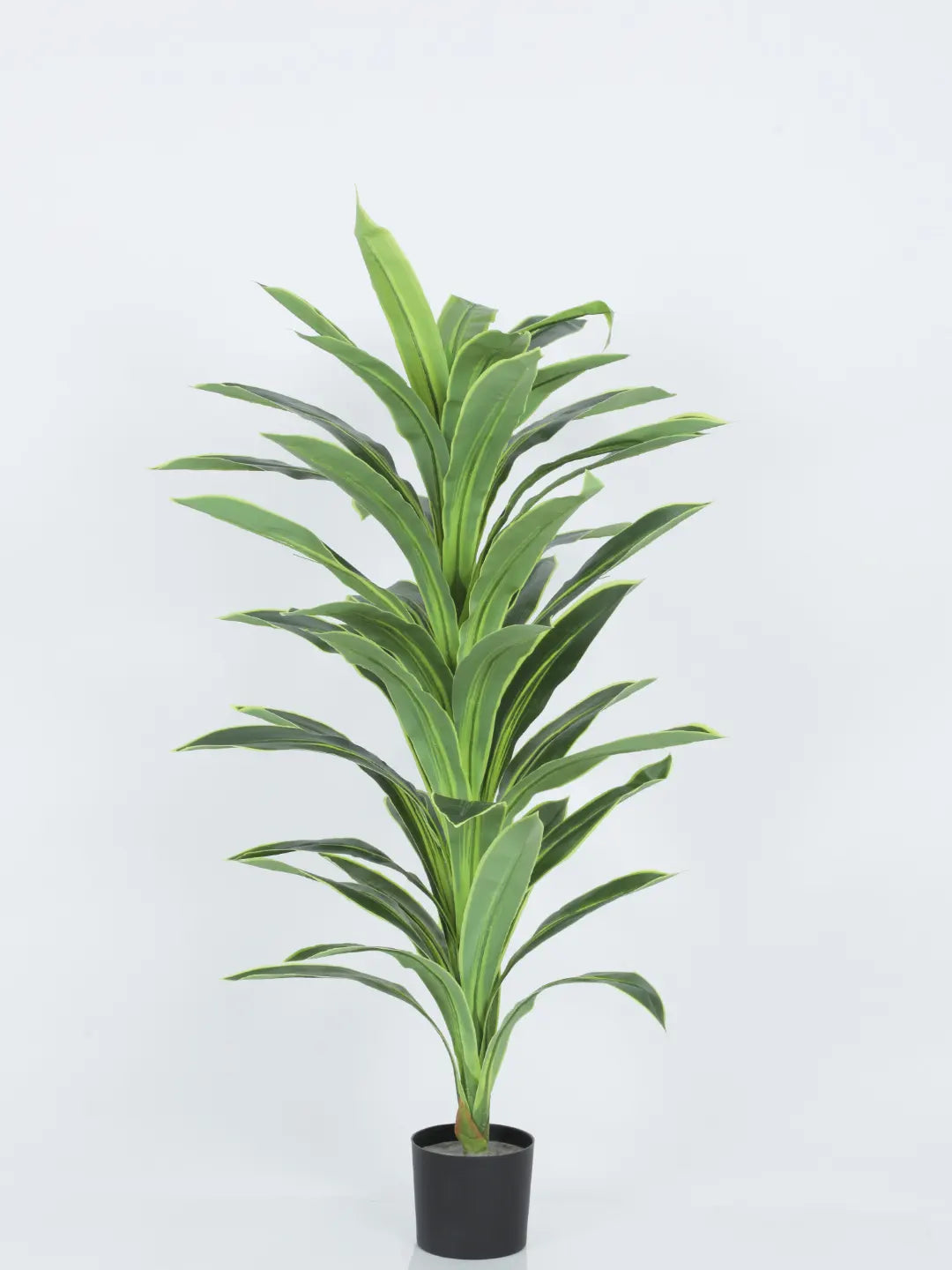Artificial Botanic Dracaena Plant with Basic Black Pot - 4 Feet Green