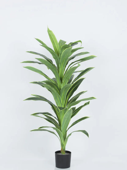 Artificial Botanic Dracaena Plant with Basic Black Pot - 4 Feet Green