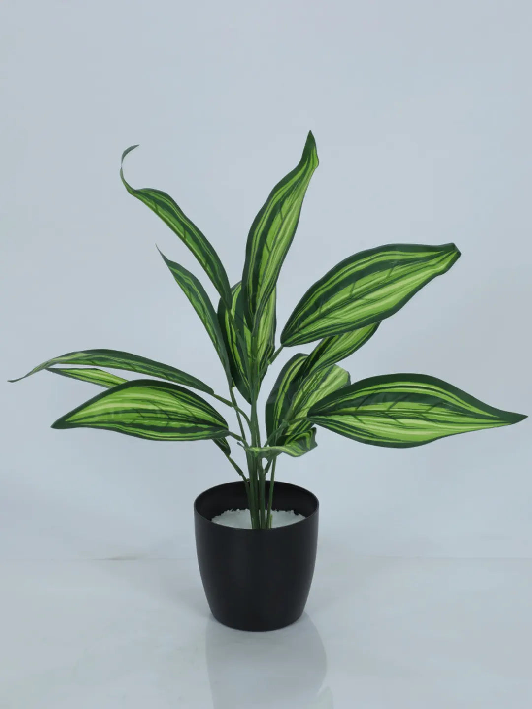 Artificial Green Dracaena Plant (12 Leaves with Basic Black Pot 45 Cm Tall)