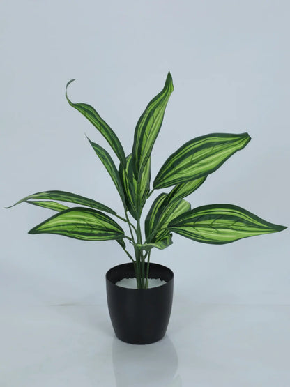Artificial Green Dracaena Plant (12 Leaves with Basic Black Pot 45 Cm Tall)