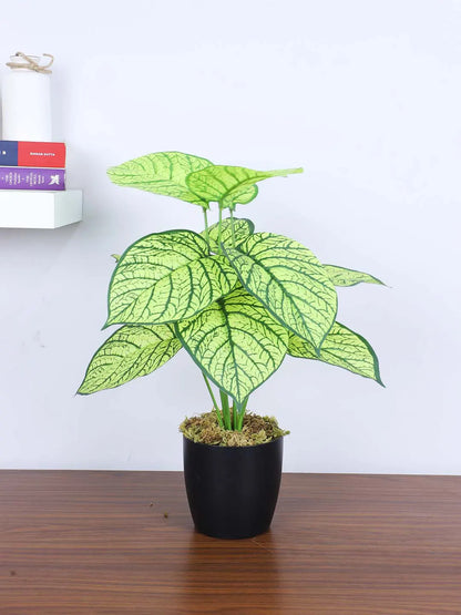 Artificial Miniature PVC Silk Caladium Leaf Floor Plant with Pot (12 Leaves, 55 cm Tall, Yellow)