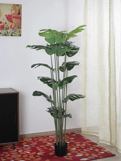Artificial Lush Monstera Plant with Basic Black Pot - 180 cm Tall Green