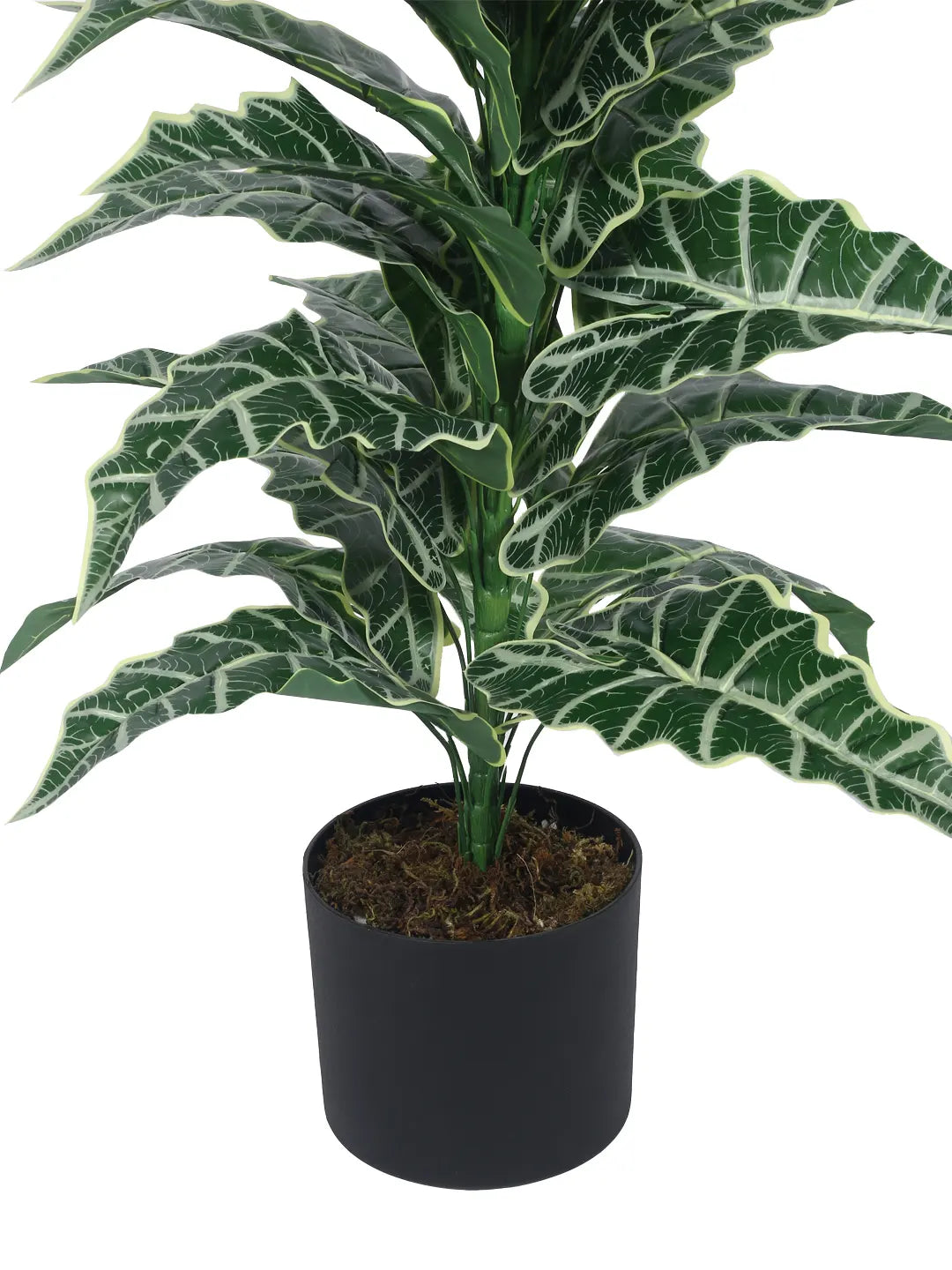 Artificial Zebra Silk Plant with Basic Black Pot - 85 cm Tall, Green