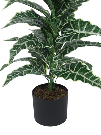 Artificial Zebra Silk Plant with Basic Black Pot - 85 cm Tall, Green
