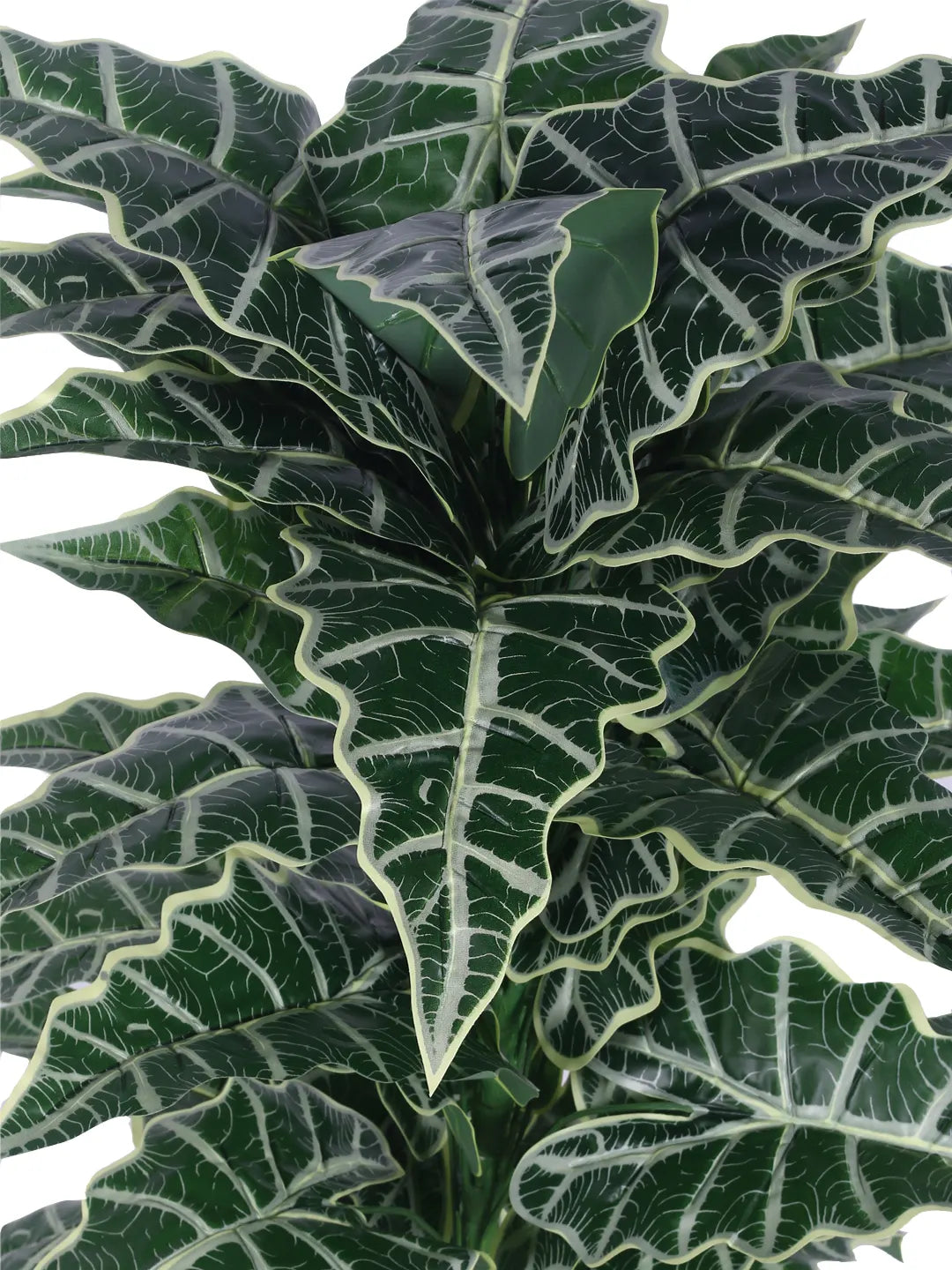 Artificial Zebra Silk Plant with Basic Black Pot - 85 cm Tall, Green