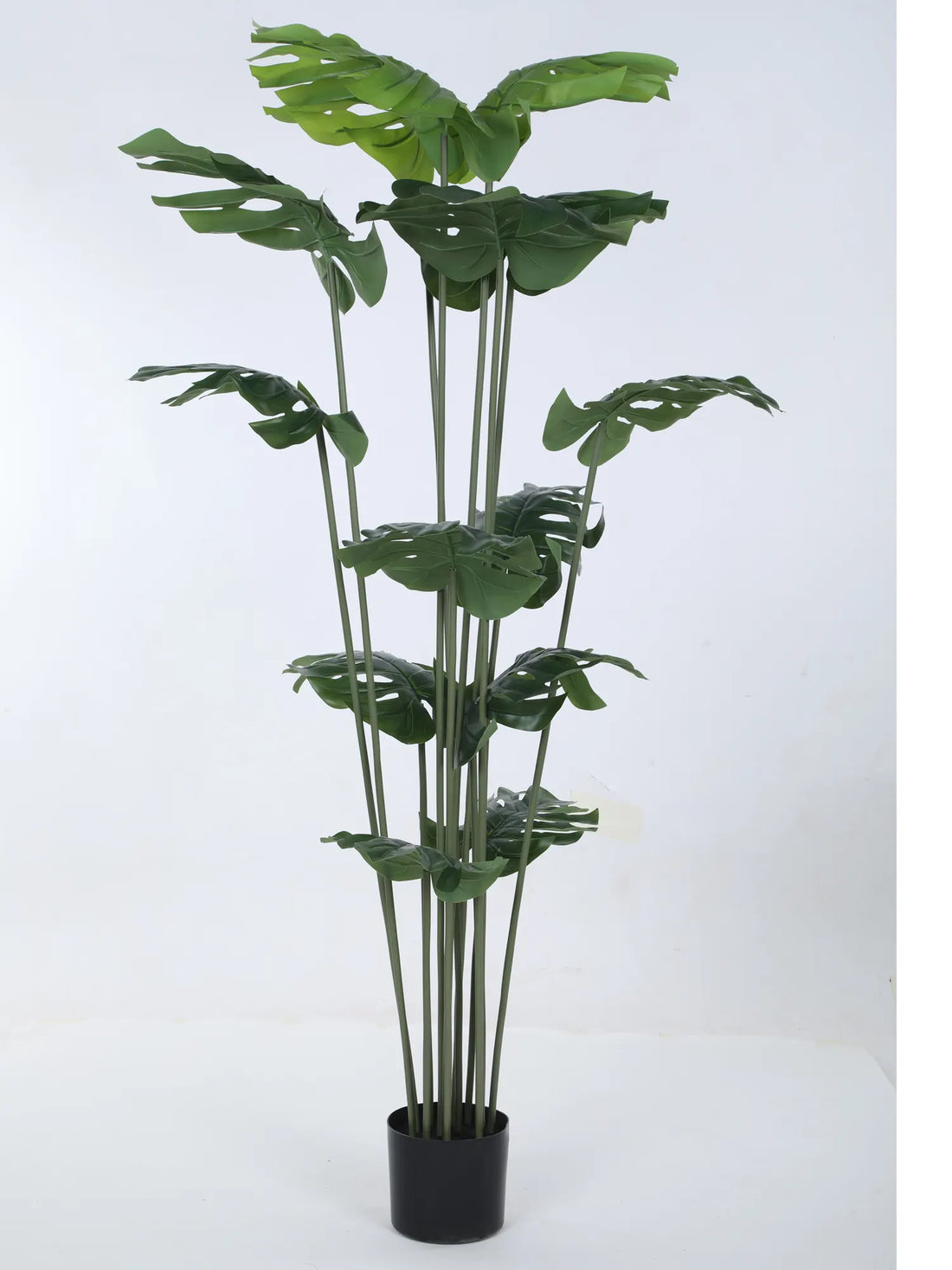 Artificial Lush Monstera Plant with Basic Black Pot - 150 cm Tall Green