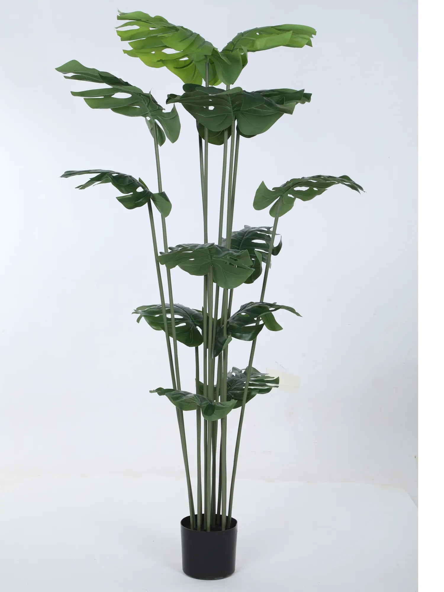 Artificial Lush Monstera Plant with Basic Black Pot - 150 cm Tall Green