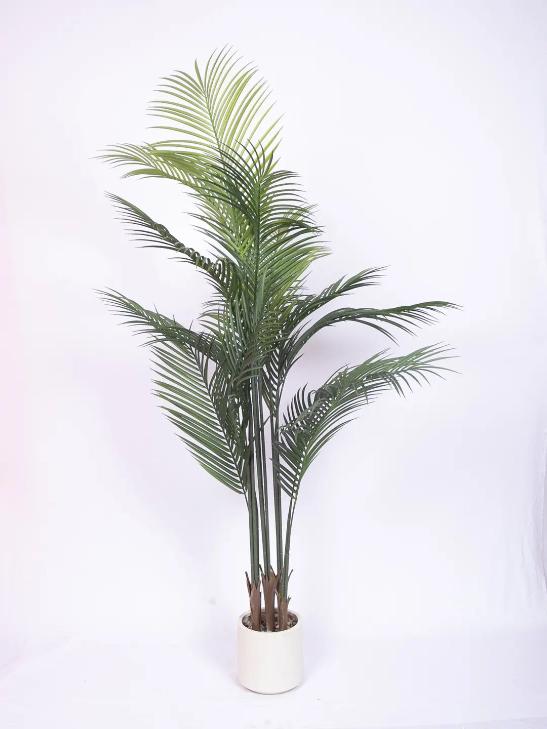 Artificial Lush Green Areca Palm Plants with Basic Black Pot - 180 cm Tall