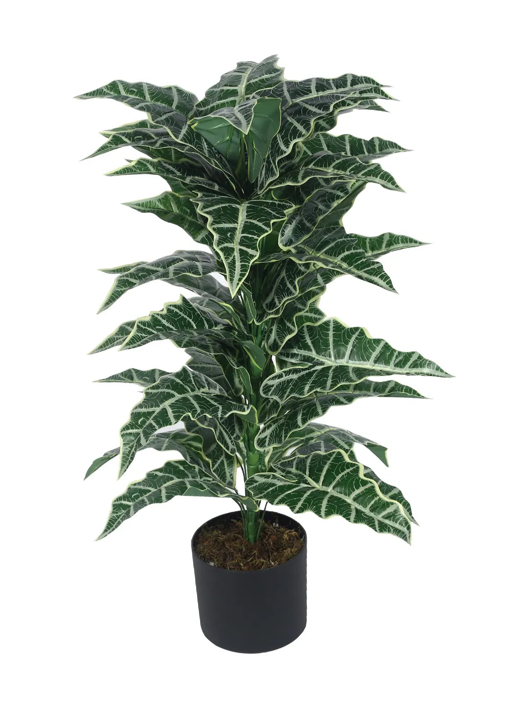 Artificial Zebra Silk Plant with Basic Black Pot - 85 cm Tall, Green