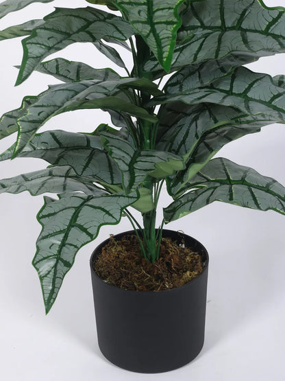 Artificial Zebra Silk Plant with Basic Black Pot - 85 cm Tall, Green