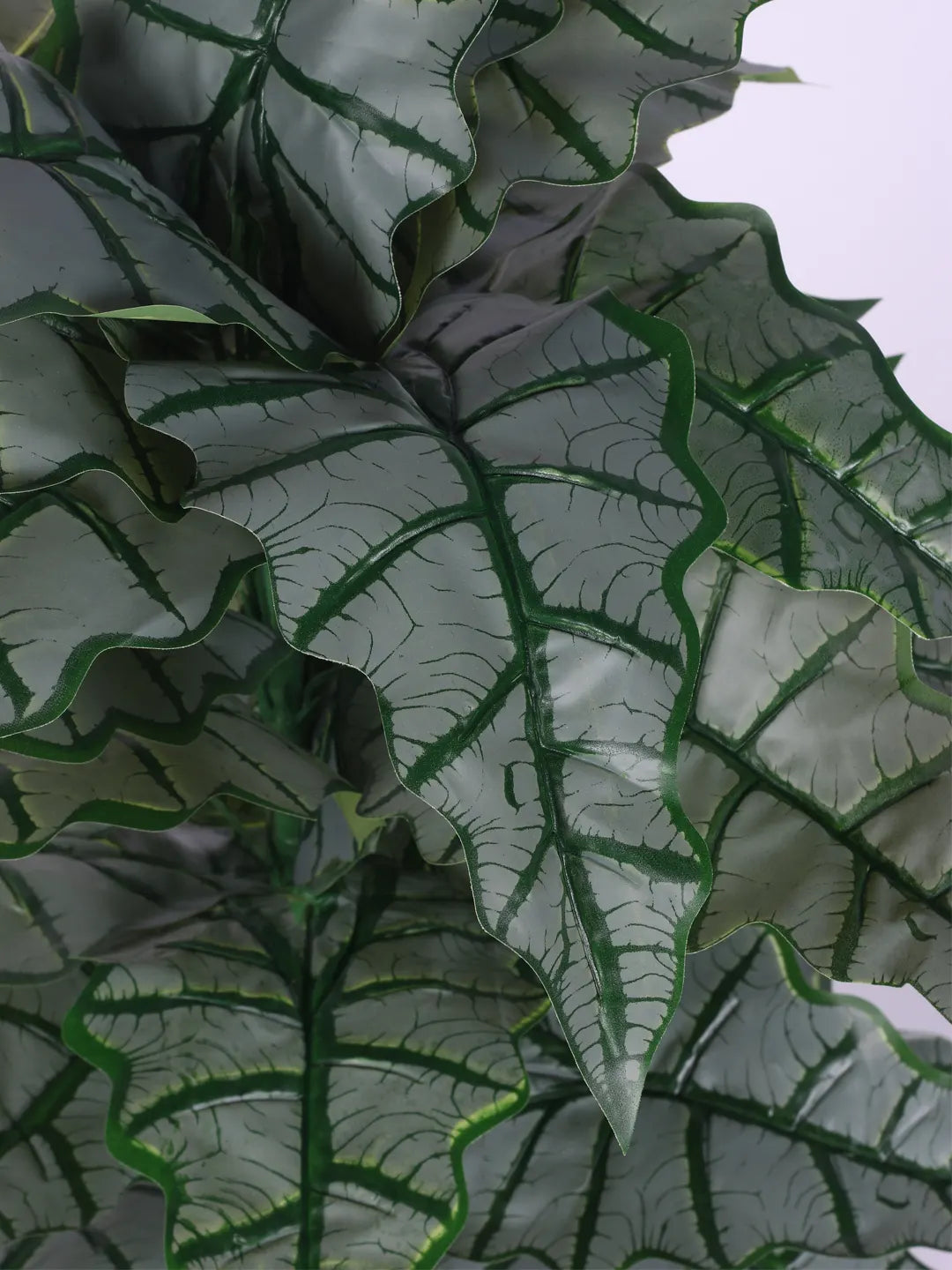 Artificial Zebra Silk Plant with Basic Black Pot - 85 cm Tall, Green
