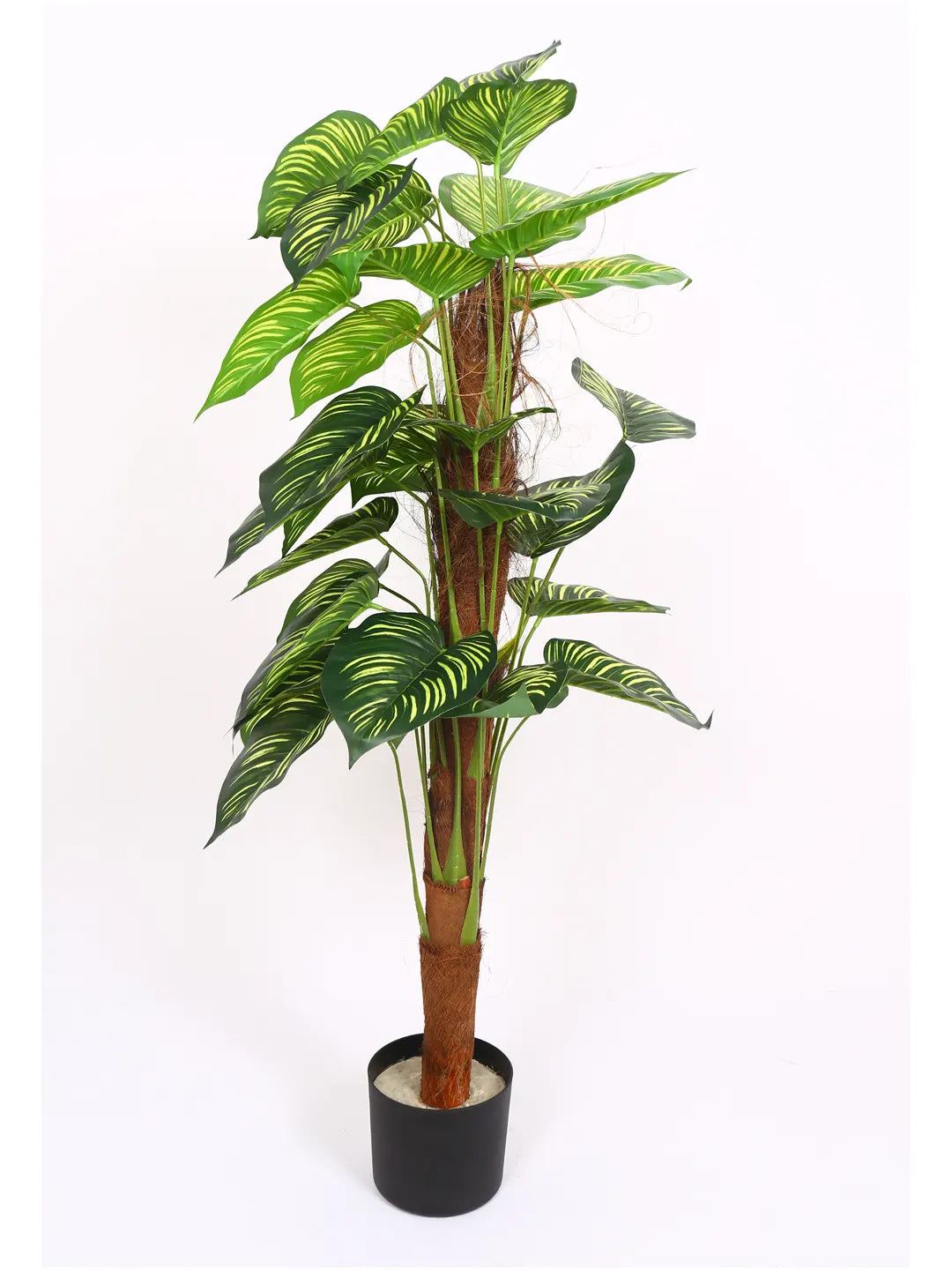 Artificial Dual Watermelon Looking Leaves Plant with Basic Black Pot - 120 cm Tall Green