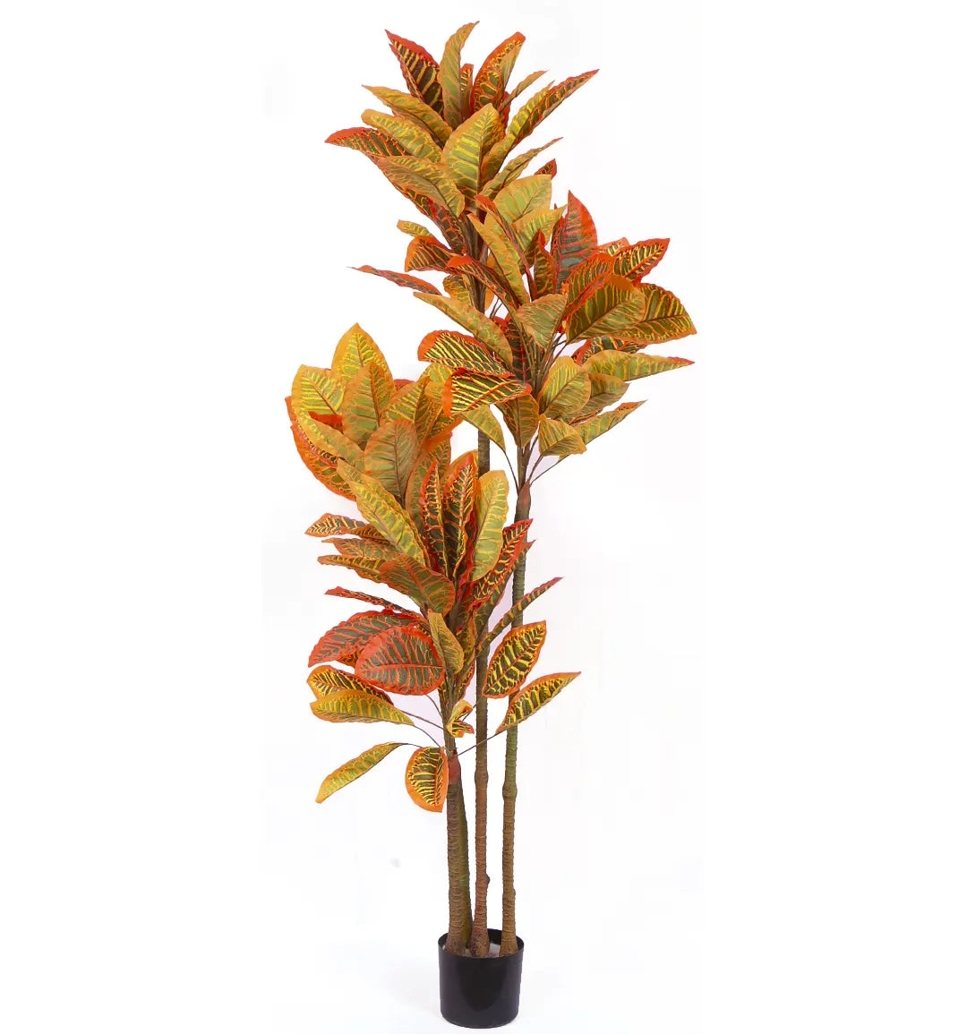 Artificial Multicolor Croton Grandiose Plant with Basic Black Pot - 6 Feet
