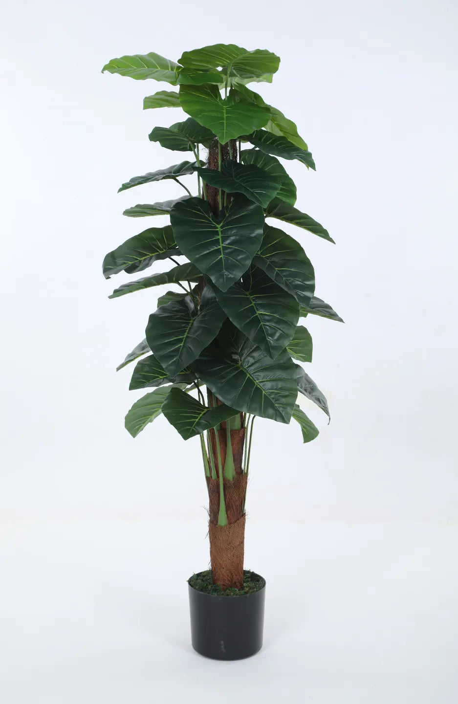 Artificial Dual Rubber Looking Leaves Plant with Basic Black Pot - 120 cm Tall Green