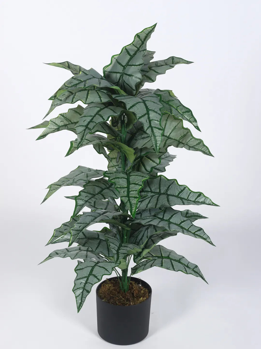 Artificial Zebra Silk Plant with Basic Black Pot - 85 cm Tall, Green