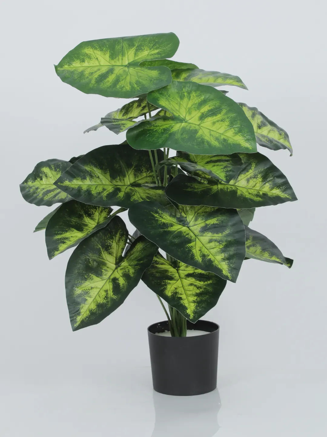 Artificial Dieffenbachia Leaf Green Floor Plant with Pot (24 Leaves, 80 cm Tall, Green/Yellow)