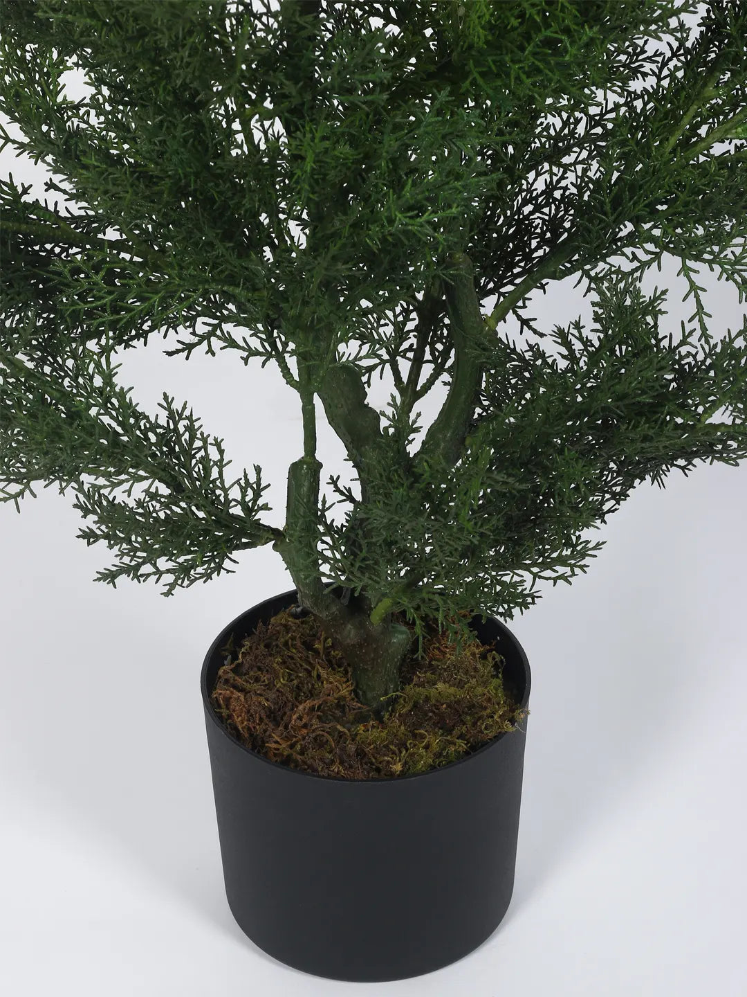 Artificial Christmas Tree with Basic Black Pot (80 cm Tall, Green)