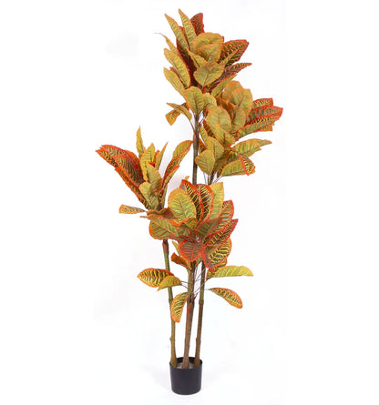 Artificial Multicolor Croton Grandiose Plant with Basic Black Pot - 6 Feet