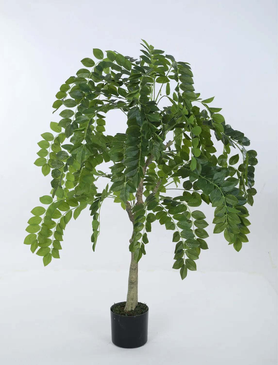 Artificial Drooping Evergreen Ficus Plant with Basic Black Pot - 120 cm Tall Green