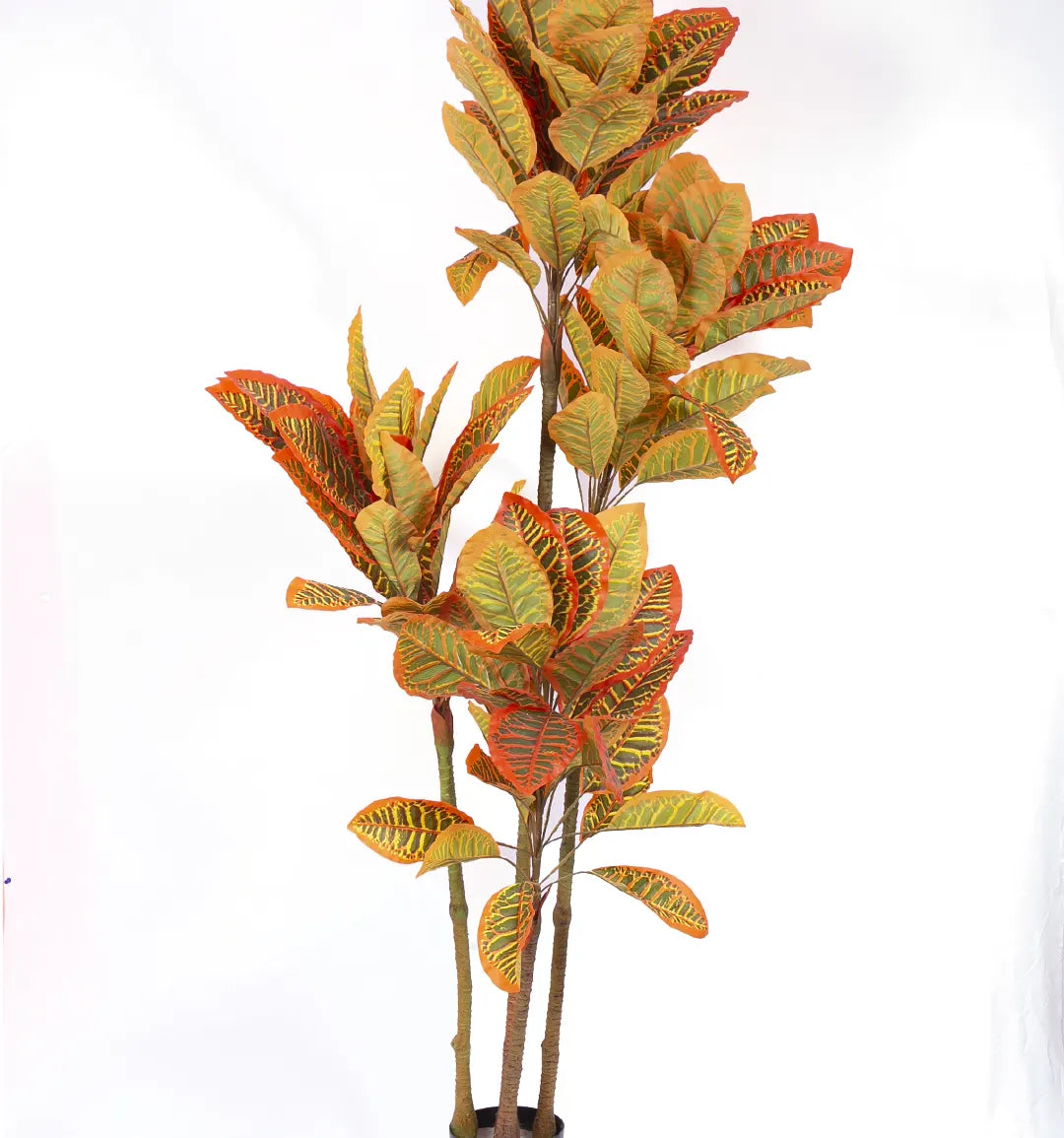 Artificial Multicolor Croton Grandiose Plant with Basic Black Pot - 6 Feet