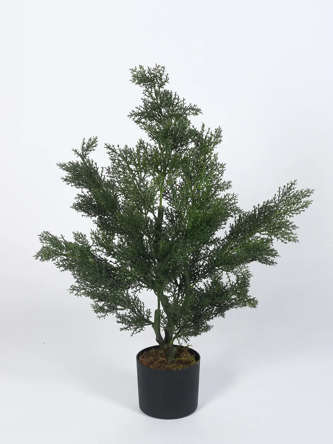 Artificial Christmas Tree with Basic Black Pot (80 cm Tall, Green)