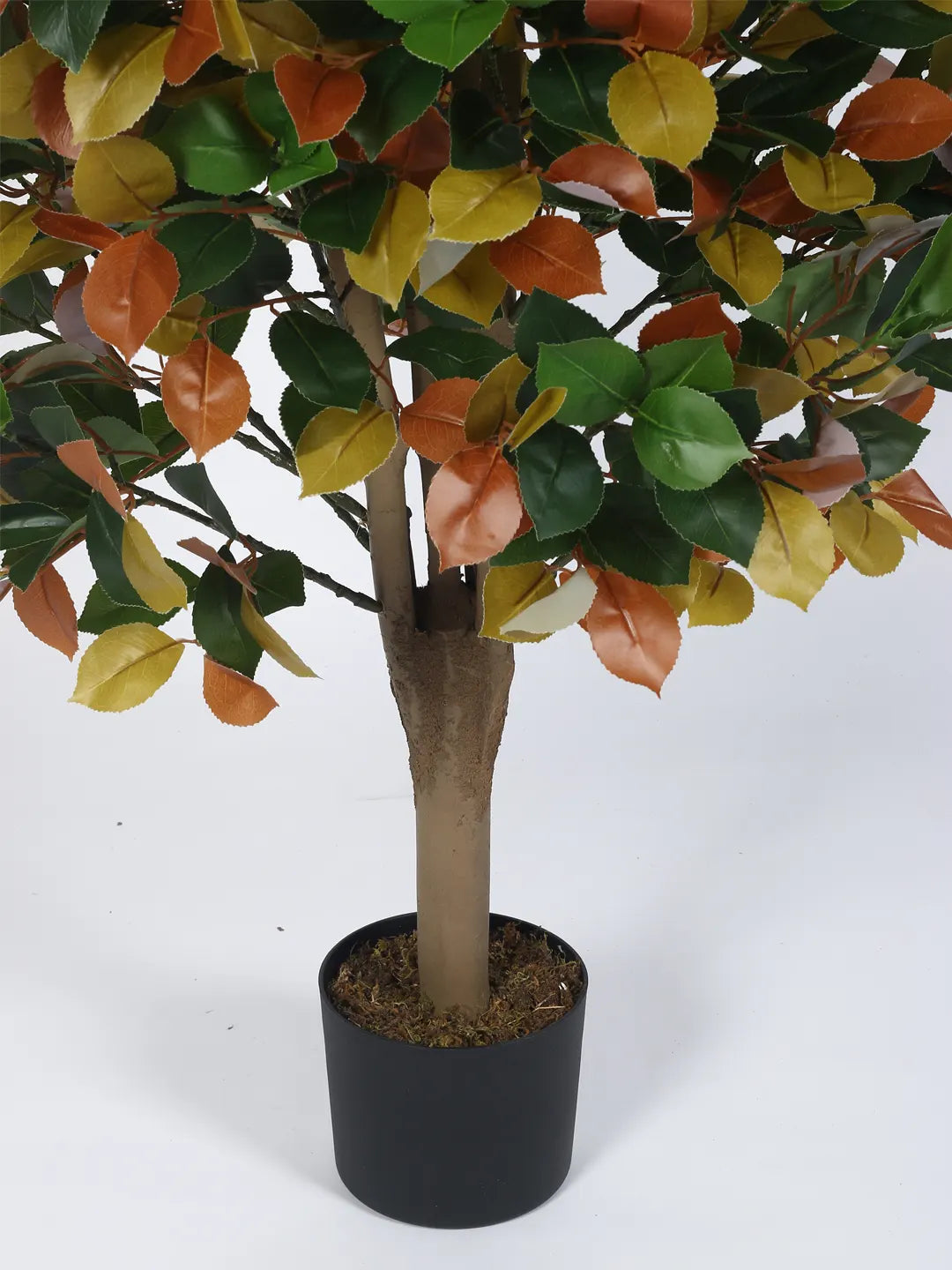 Artificial Multicolor Magnolia Grandiose Ficus Plant with Basic Black Pot - 4 Feet