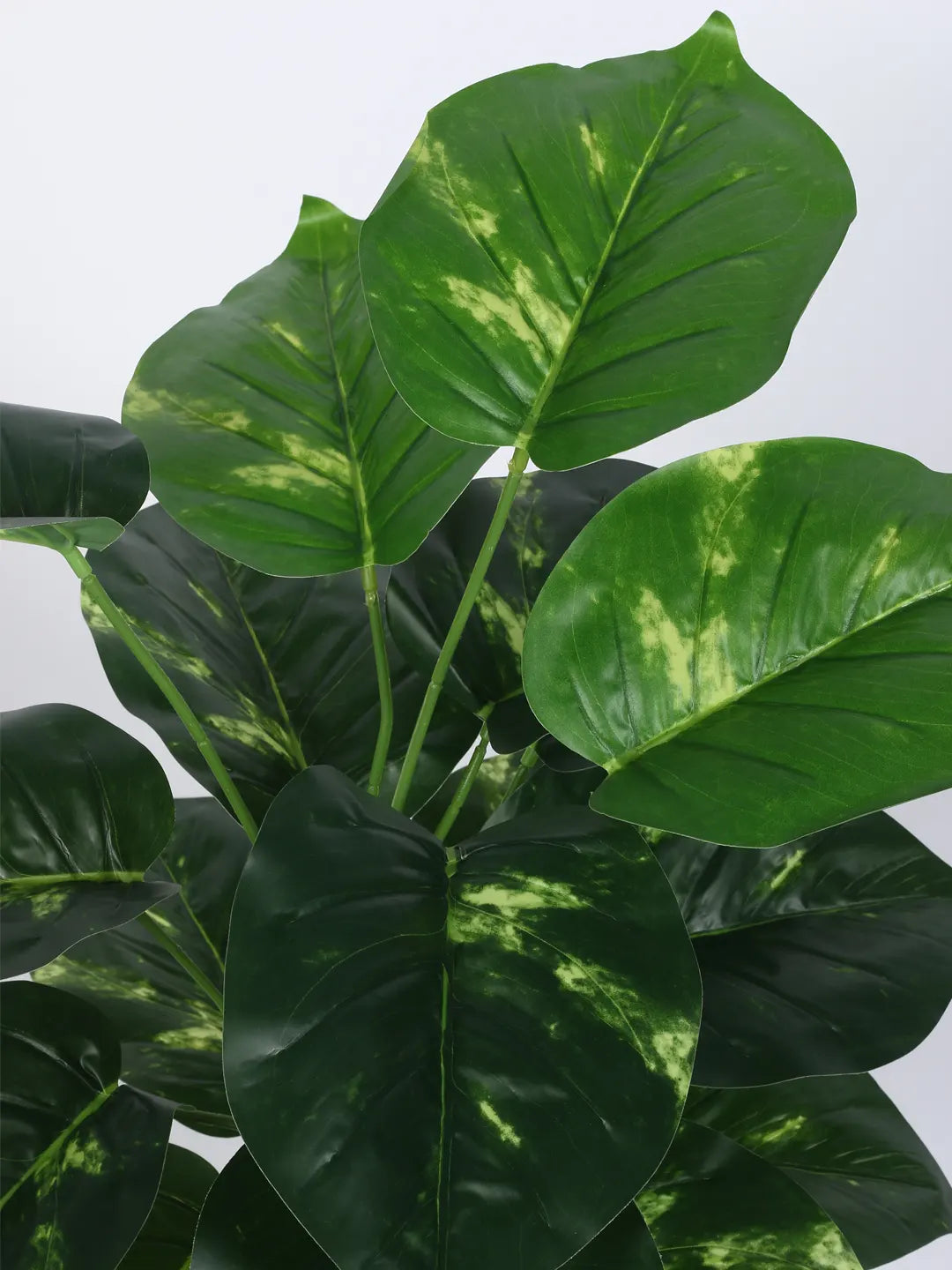 Artificial Photos Leaf Green Floor Plant with Pot (24 Leaves, 80 cm Tall, Green)