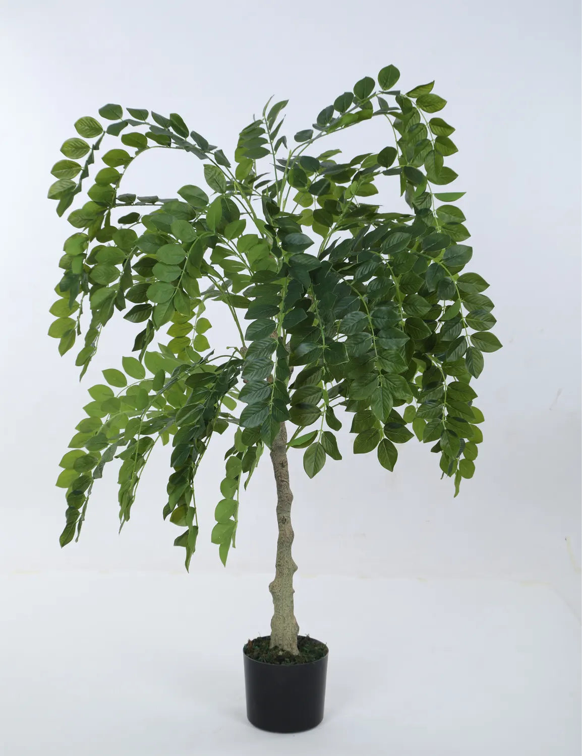 Artificial Drooping Evergreen Ficus Plant with Basic Black Pot - 120 cm Tall Green