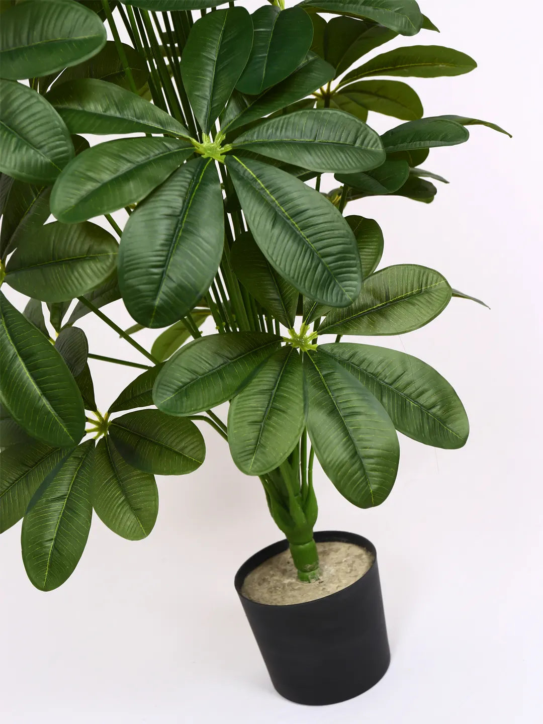 Artificial Midas Schefflera Plant with Basic Black Pot - 4 Feet 24 Green Leaves