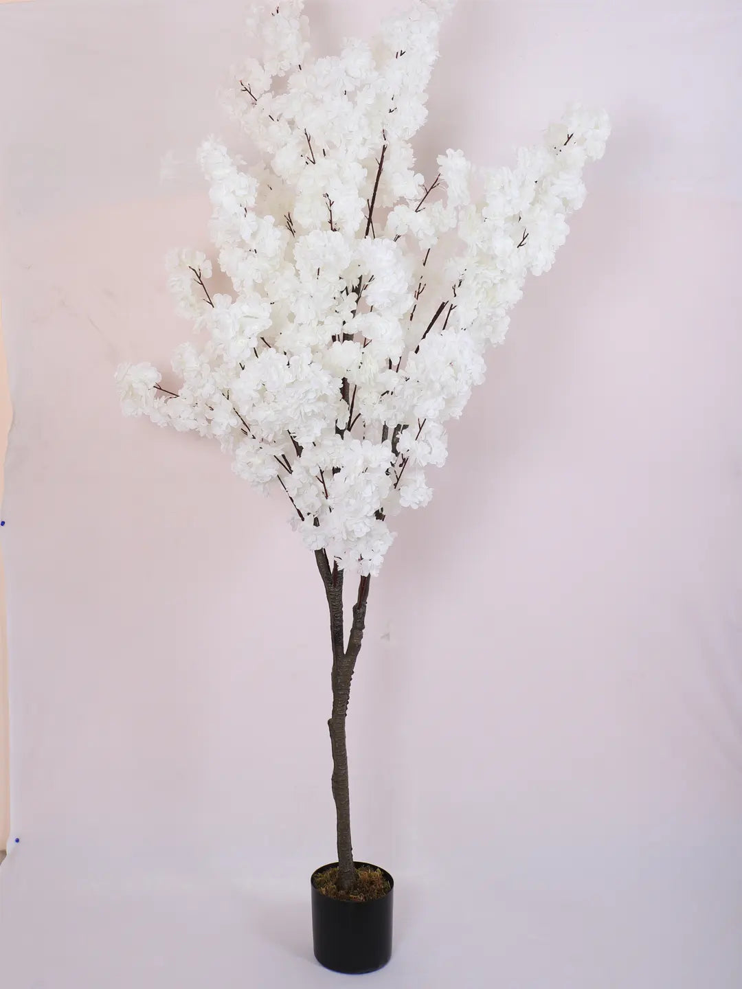 Artificial White Blossom Flowers Plant with Basic Black Pot - 6 feet