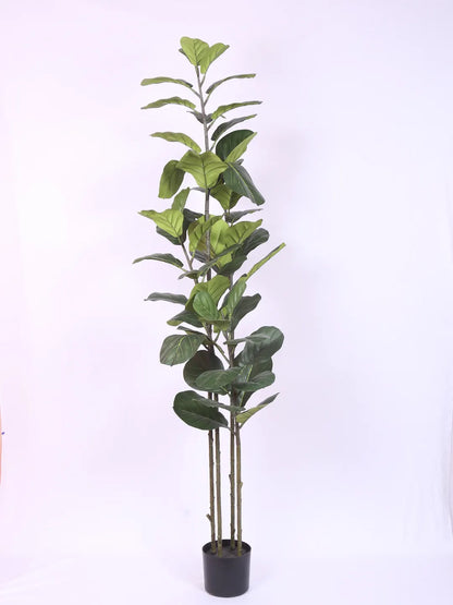 Artificial Evergreen Fiddle Leaf Fig Potted Plants Natural Faux Plants - 180 cm Tall
