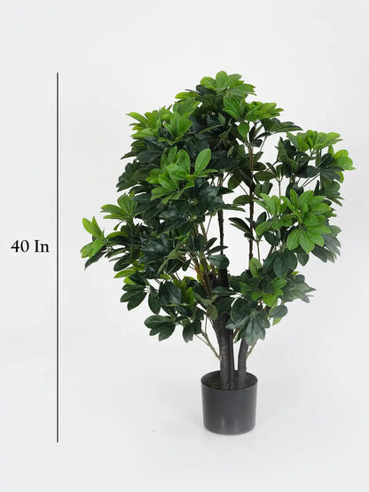 Artificial Schefflera Plant with Basic Black Pot - 100 cm Tall, Green