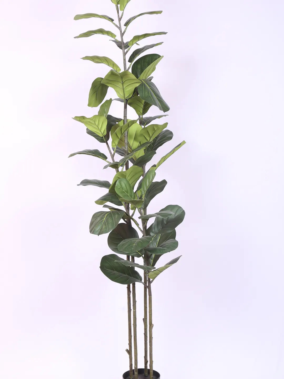 Artificial Evergreen Fiddle Leaf Fig Potted Plants Natural Faux Plants - 180 cm Tall