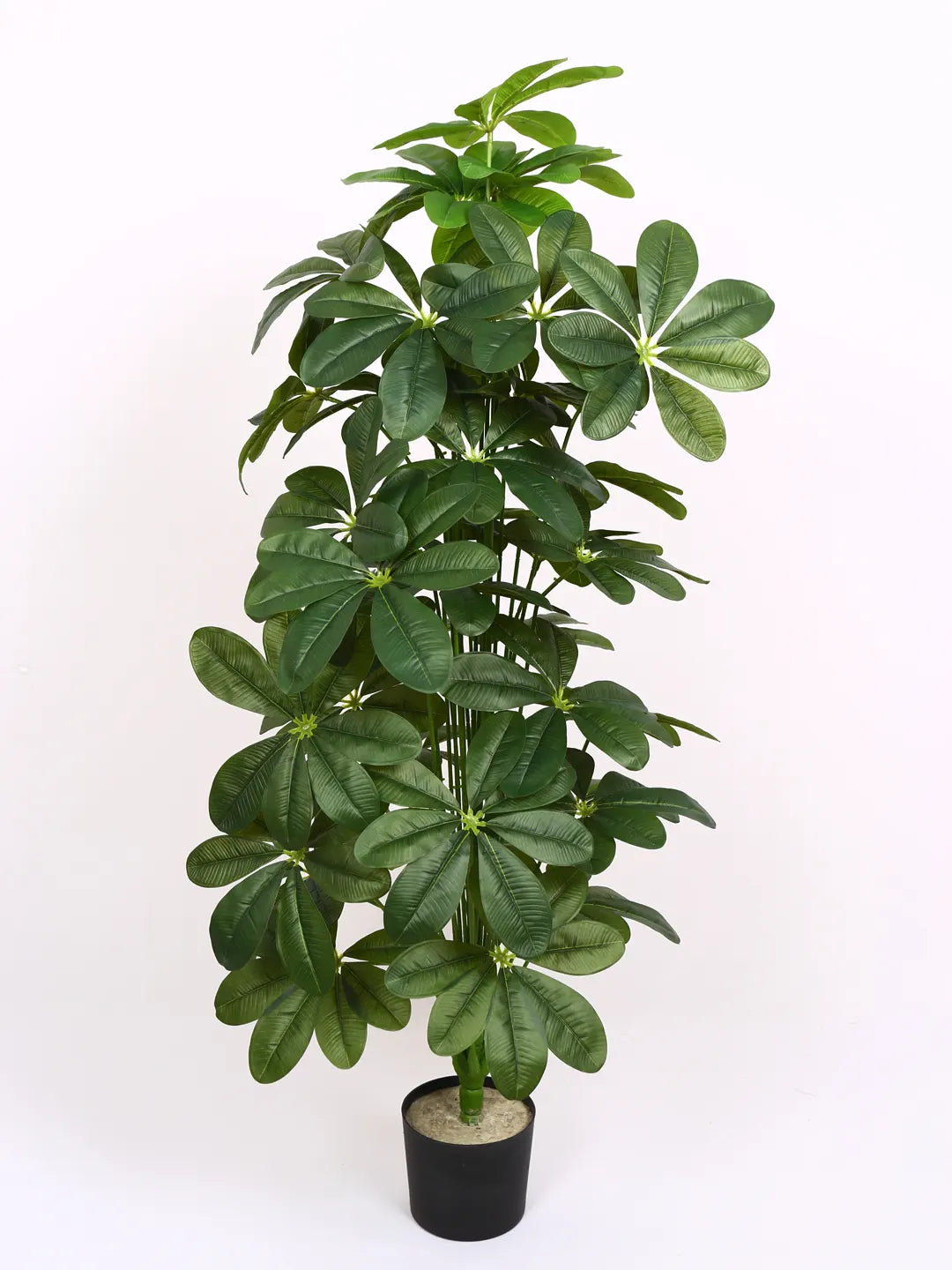 Artificial Midas Schefflera Plant with Basic Black Pot - 4 Feet 24 Green Leaves