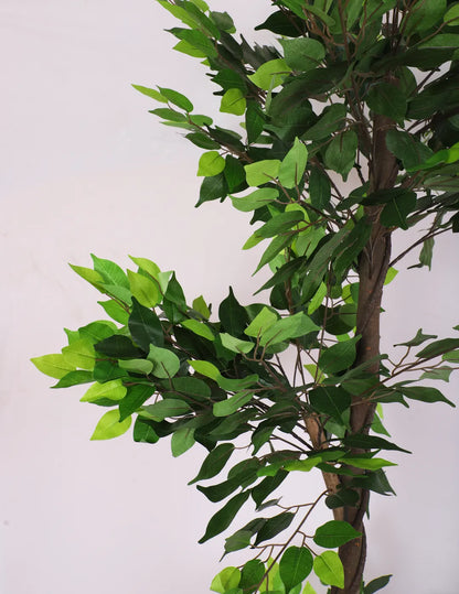Artificial Green Dried Ficus Plant with Basic Black Pot - 6 Feet Tall Green Leaves