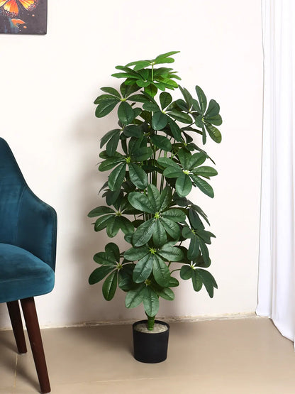 Artificial Midas Schefflera Plant with Basic Black Pot - 4 Feet 24 Green Leaves