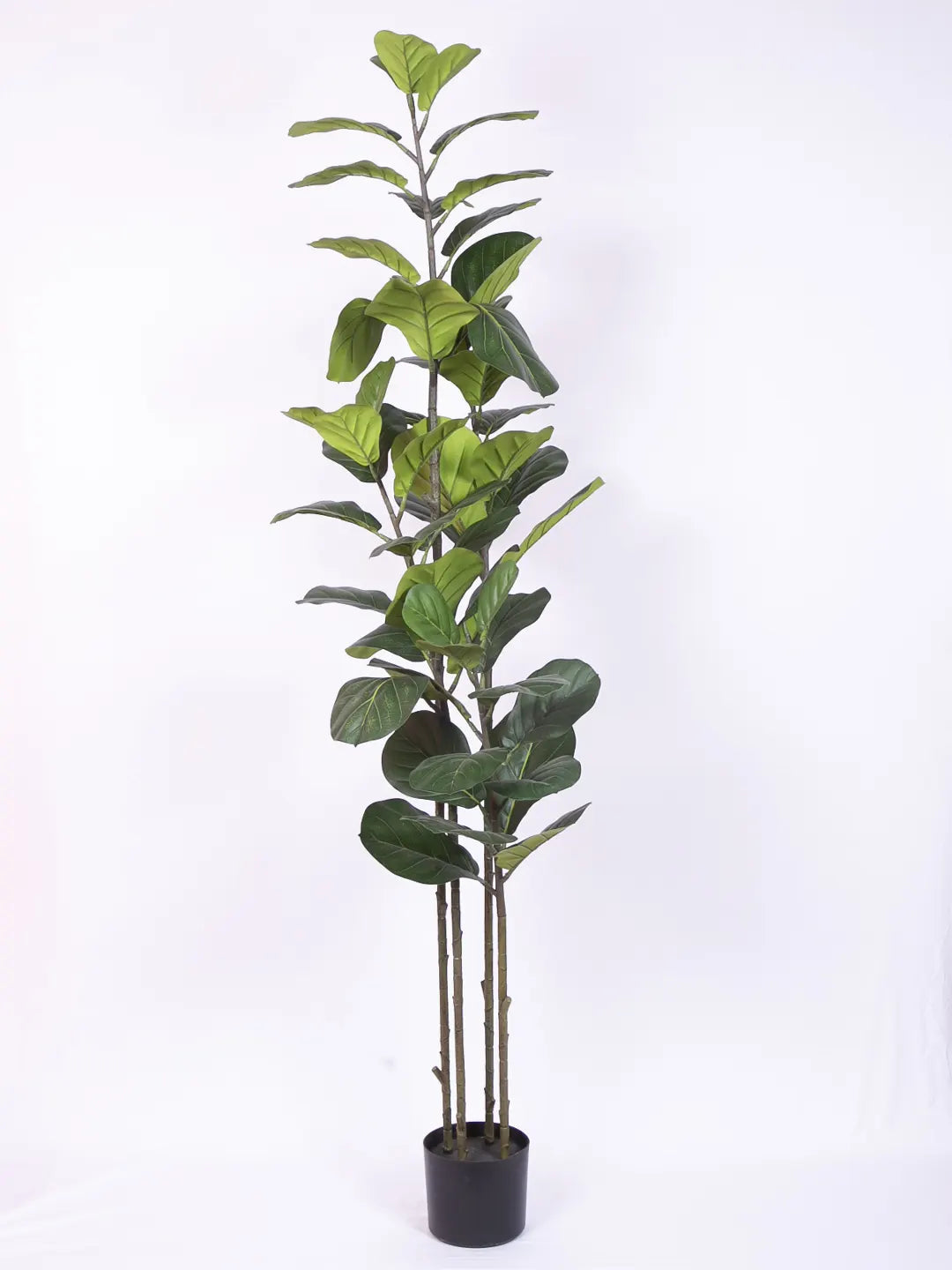 Artificial Evergreen Fiddle Leaf Fig Potted Plants Natural Faux Plants - 180 cm Tall