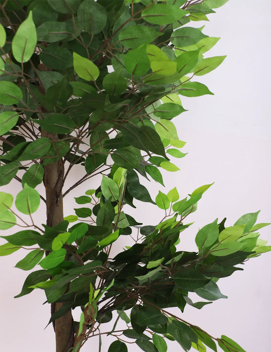 Artificial Green Dried Ficus Plant with Basic Black Pot - 6 Feet Tall Green Leaves