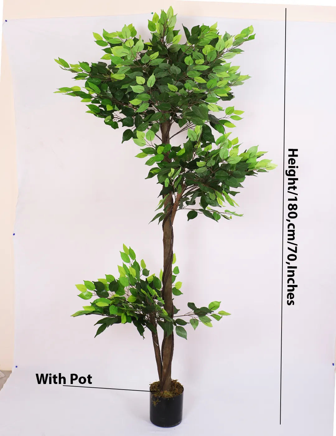Artificial Green Dried Ficus Plant with Basic Black Pot - 6 Feet Tall Green Leaves