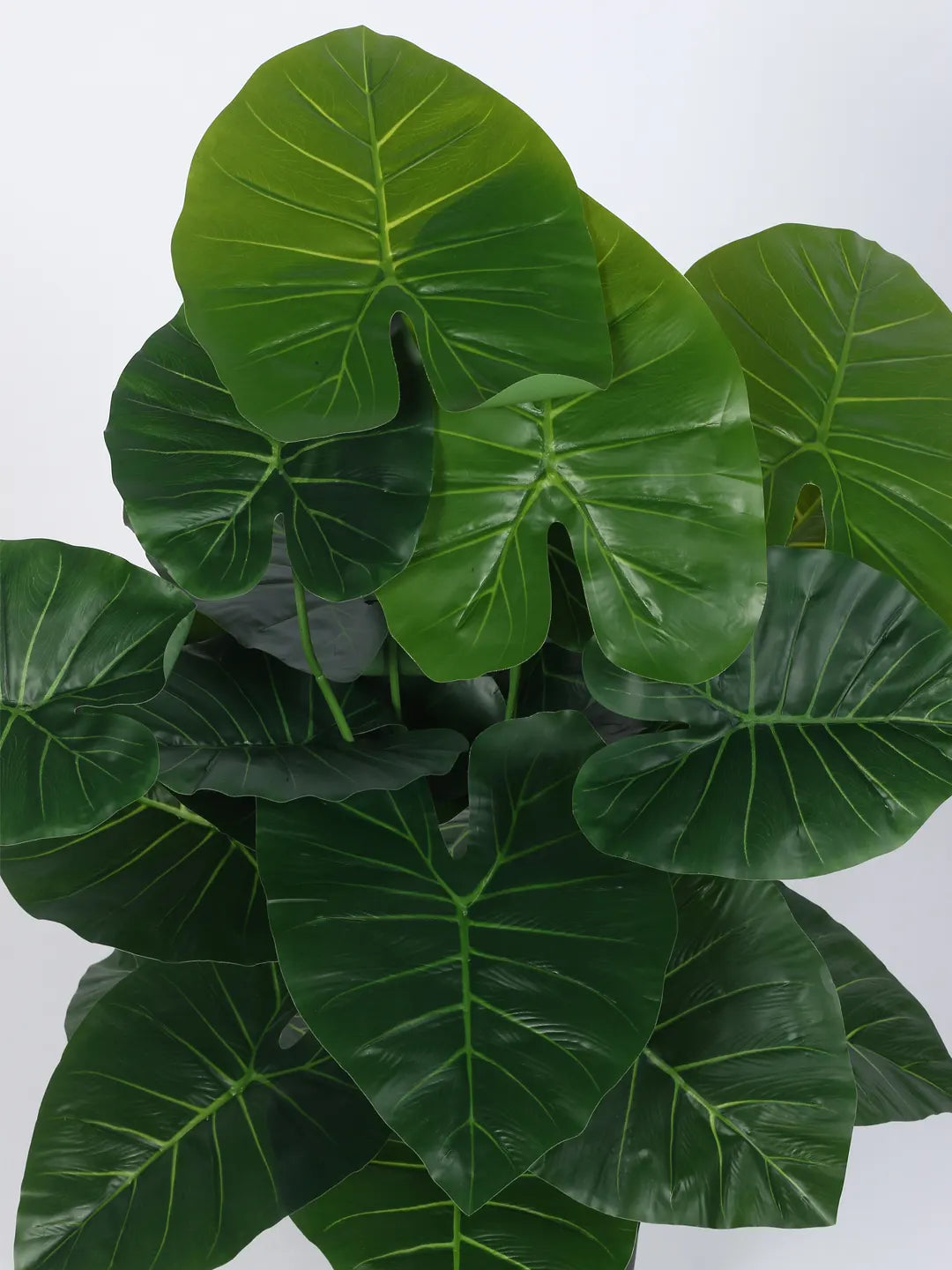 Artificial Rubber Leaf Green Floor Plant with Pot (24 Leaves, 80 cm Tall, Green)